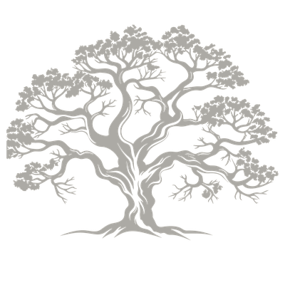 Live Oak Home Cleaning